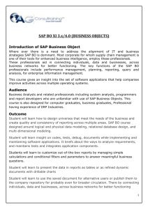 Introduction of SAP Business Object