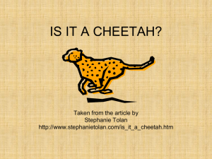 is it a cheetah? - Rowan County Schools