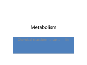 PowerPoint metabolism, catabolism and anabolism