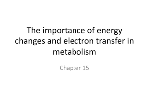 The importance of energy changes and electron transfer in metabolism