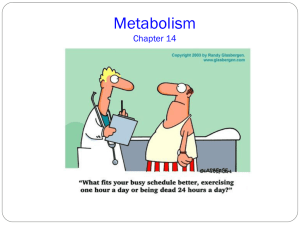 Chapter 14, Metabolism