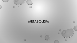 Metabolism - Prairie Spirit Blogs
