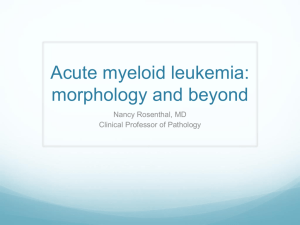 Acute myeloid leukemia: morphology and beyond