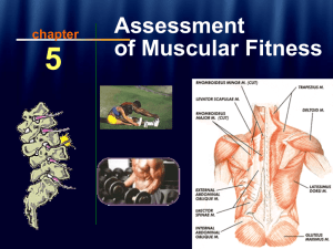 Assessment of Muscular Fitness