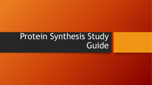 Protein Synthesis Study Guide
