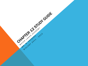 Chapter 12 Study Guide - Mater Academy Lakes High School