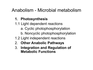anabolism - microbial metabolism