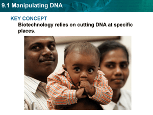 9.1 Manipulating DNA