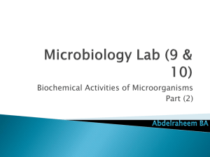 Microbiology Labs (9 & 10)