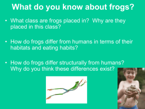 Bio392-Frog Dissection