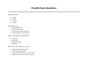 Possible Exam Questions
