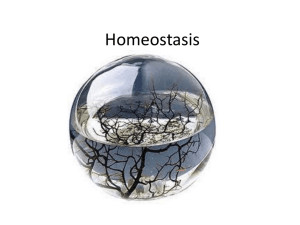 Homeostasis pH