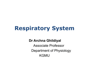 Respiratory System [PPT]