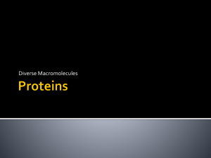 Proteins - Westgate Mennonite Collegiate