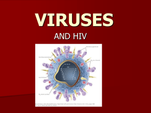 VIRUSES