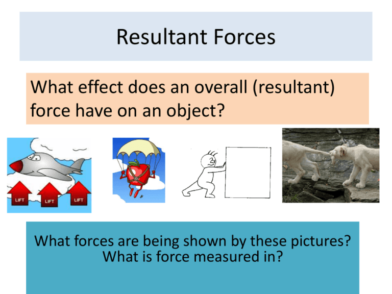 questionoftheday-do-you-know-what-force-is-measured-in-hint-it-has