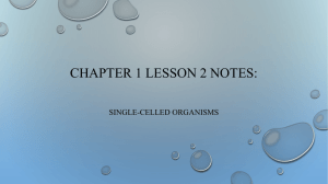 Chapter 1 Lesson 2 Notes