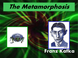 Is the “metamorphosis”