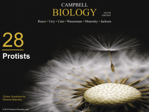 studylib.net - Essays, homework help, flashcards, research papers, book