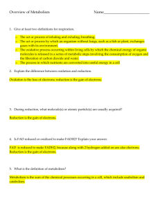 Cellular_Respiration_Answers_1