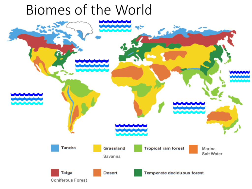 8 Fresh Water Biome Ppt