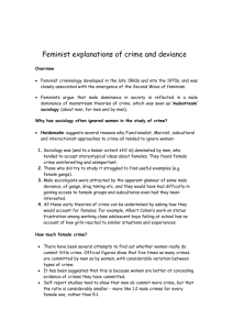 Feminist handout 2014