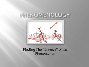 Shedding Light On Phenomenology