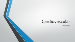 Cardiovascular