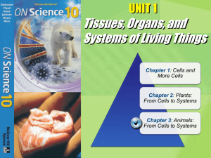 3.1 - Cells and Tissues + 3.2