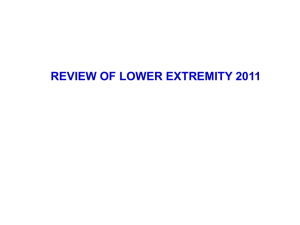 Review_of_Lower_Extremity
