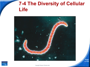 Cell Specialization