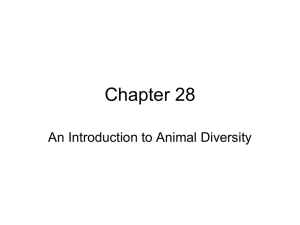 Chapter 28 PowerPoint