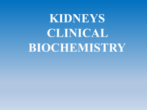 24. Clinical biochemistry of kidneys
