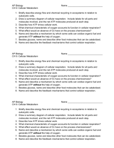 AP Biology Name CH 9: Cellular Metabolism Briefly describe energy