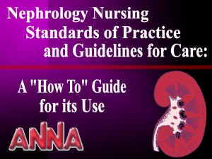 Nephrology Nursing Standards of Practice: Ideal or