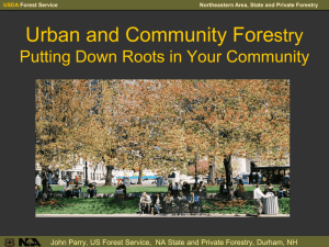 Think Big for the Future of Urban Forestry