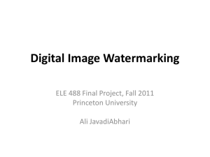 Digital Image Watermarking