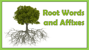Root Words PowerPoint