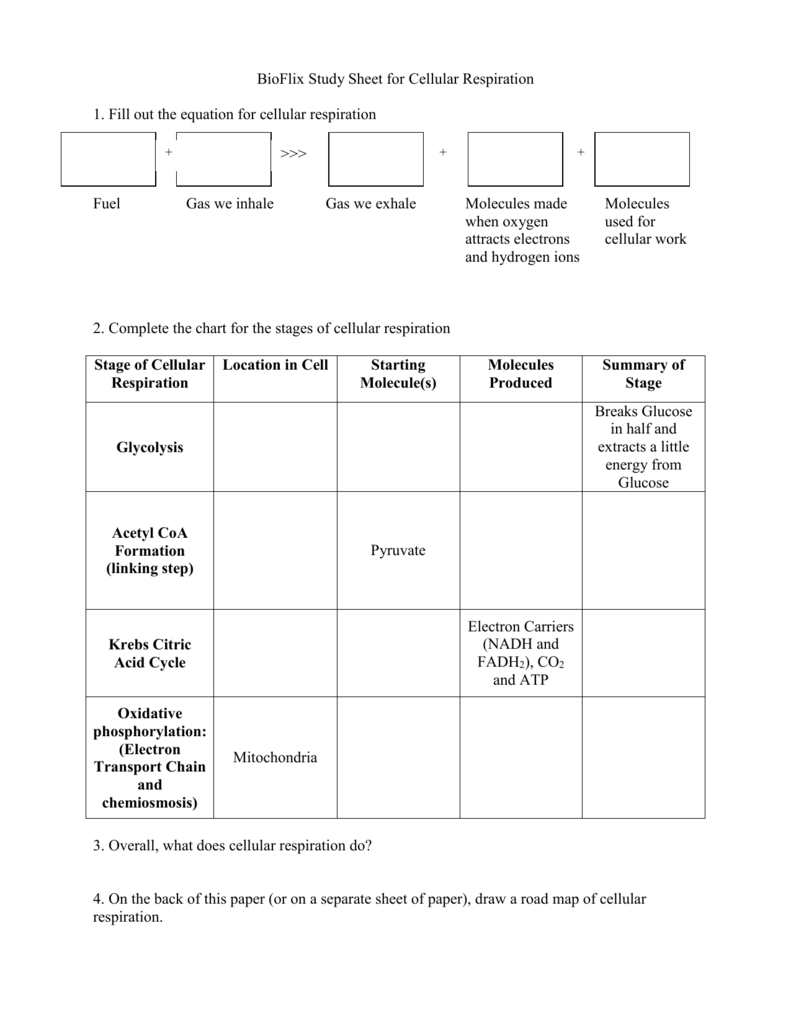 road map of cellular respiration