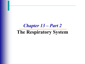 External respiration - Mount Carmel Academy