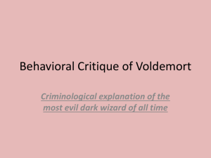 Behavioral Critique of Voldermort