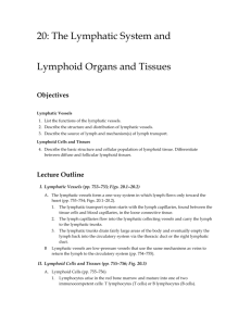 Lecture Outline - Anatomy and Physiology