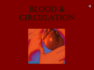 blood_&_circula[on[1]