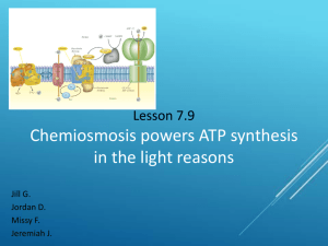 7.9 Photophosphorylation presentation Lesson 7.9