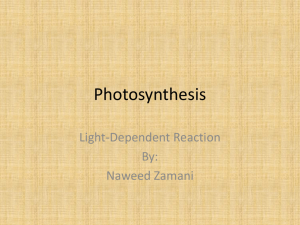 Photosynthesis - THESTUDENTSCHOOL