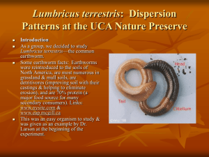 Lumbricus terrestris: Dispersion Patterns at the UCA Nature Preserve