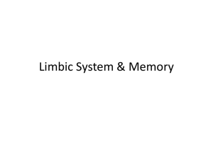 Memory - Littlemiamischools.org