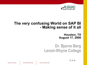 Making_Sense_of_SAP_BI - Lenoir