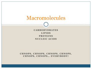 MAcromolecule ppt
