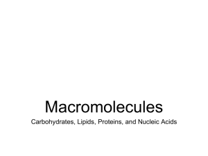 Macromolecules - pebblesystems